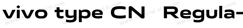 vivo type CN简 Regula字体转换